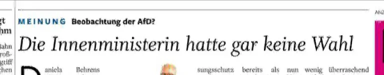 Rechtsextremismus AfD